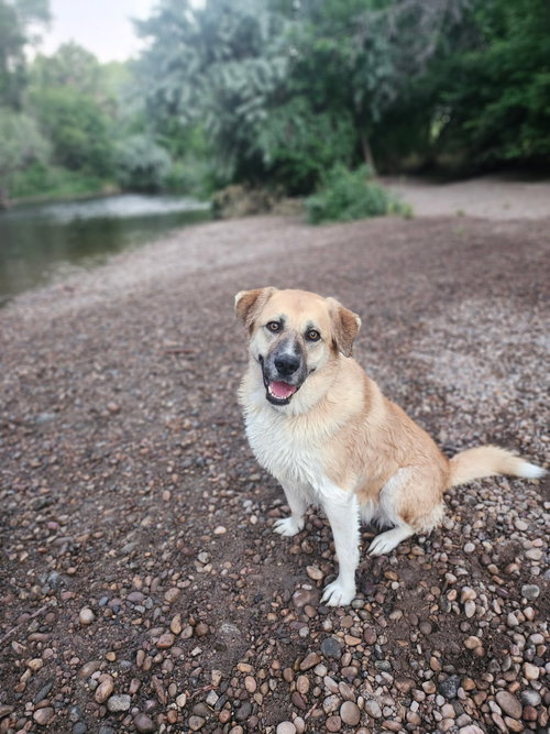 Cinnamon Sr photo 3