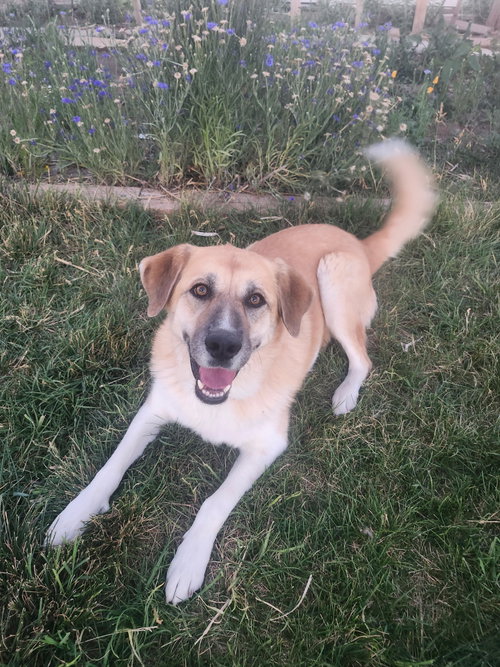 Cinnamon Sr photo 5