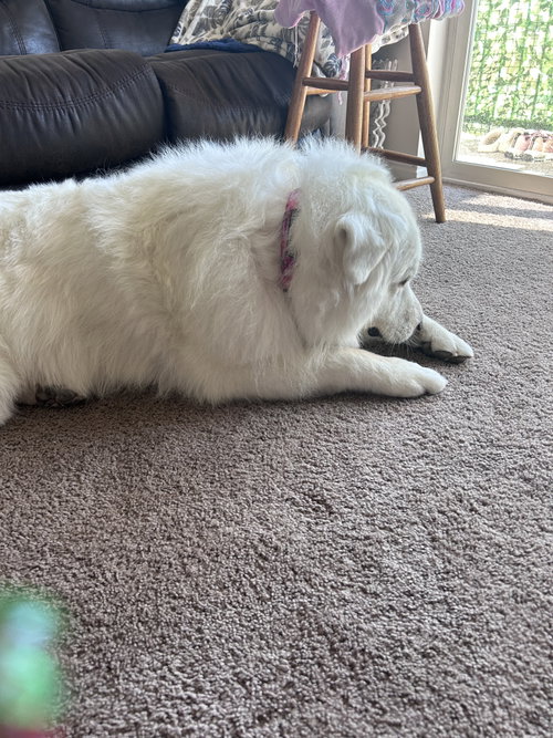 Dakota/Kota, photo 3