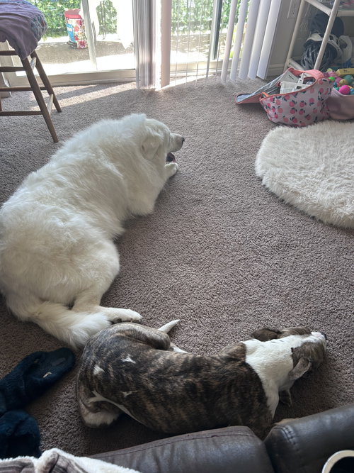 Dakota/Kota, photo 5