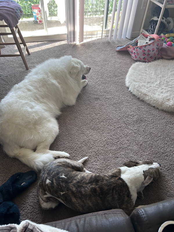 Dakota/Kota