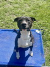 Cheerio - Photo 1