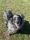 Grizzly - Photo 2