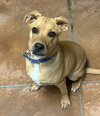 Fudge - Photo 3
