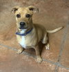 Fudge - Photo 4