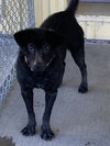 Lumen - Photo 3