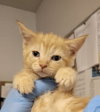 Marmalade - Photo 1