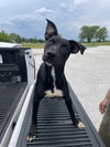 Runtz - Photo 2