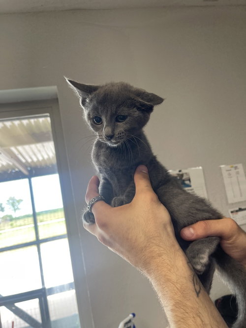 Tiny
