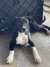 Porter - Photo 1