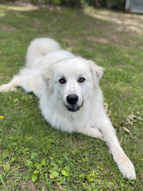Willow Mae