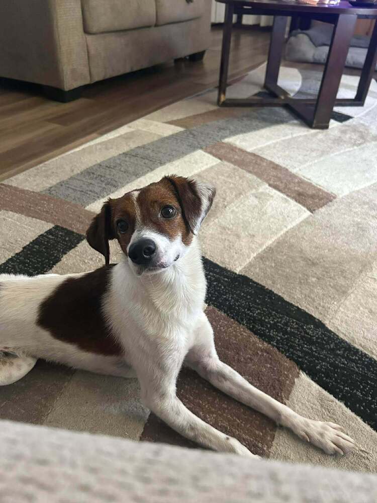 Shiloh