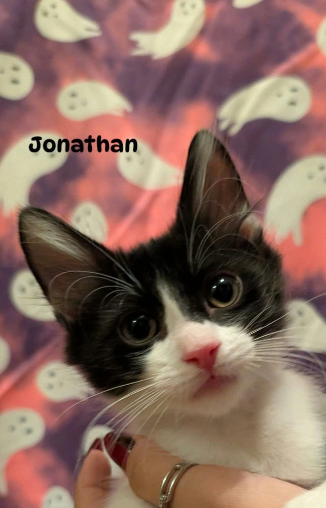 Jonathon