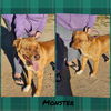 adoptable Dog in wrightwood, CA named Monster