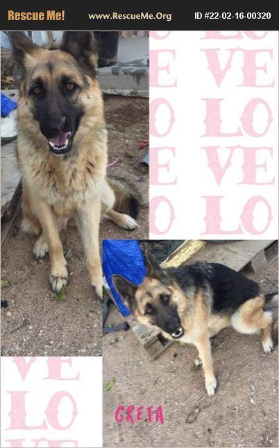 adoptable Dog in Wrightwood, CA named Greta