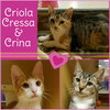 Crina (SM) 3.29.16