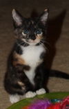 Tootsie Pop (GP) 10.5.16