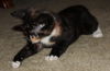 Tootsie Pop (GP) 10.5.16