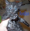 Jordan