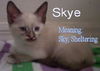 Skye (CS) 7.26.05