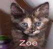 Zoe 7.26.05