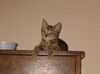 Sugar (K Cole) 2005