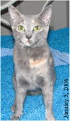 Misty 6.3.05