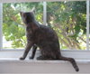 Misty 6.3.05