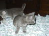 Dusty 8.23.05