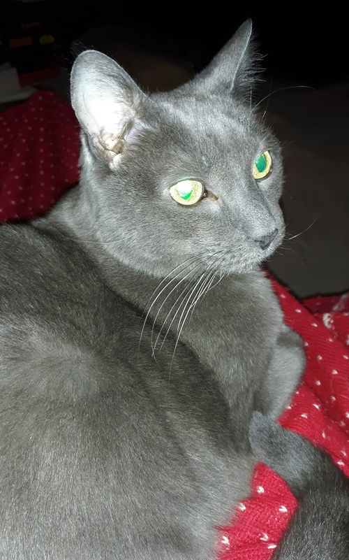 Dusty 8.23.05