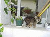 Rusty (CS) 8.16.05