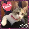 Claire (CS/KB) 10.15.16