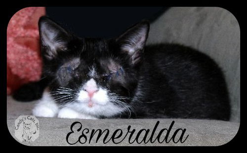 Esmeralda (GP) 4.21.17