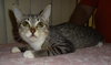 MissSpots (JFS) 3.8.17
