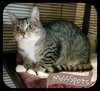 MissSpots (JFS) 3.8.17