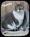 Thomas (LR) 12.6.09