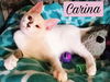 Carina (MRM) 4.20.17