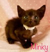 Minky (MG) 8.3.17