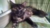 Kimmy (RB) 9.5.16