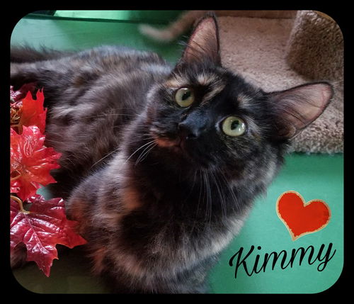 Kimmy (RB) 9.5.16