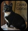 Greta Garbo (SC) 11.20.13