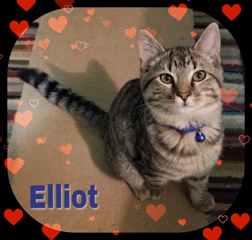 Elliot (JHP/MRM) 4.2.18