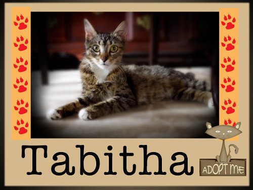 Tabitha (TF) 9.11.17
