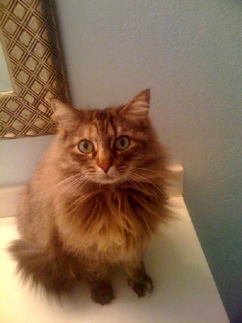 Kiki (KJ)