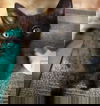 Java (RB) 5.5.18