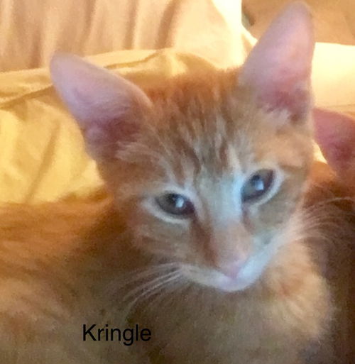 Kringle (KJ) 10.1.18