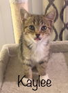 Kaylee (MG) 11.20.18