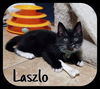 Laszlo (MRM) 3.16.19