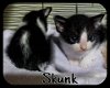Skunk (MRM) 4.8.19