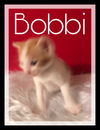 Bobbi (BN) 5.10.19